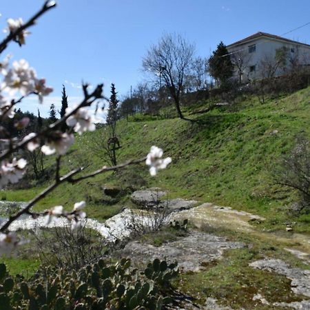 Oasis Of Calmnessε Villa Ardani Bagian luar foto