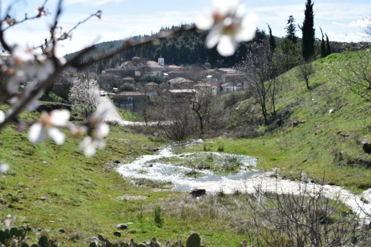 Oasis Of Calmnessε Villa Ardani Bagian luar foto