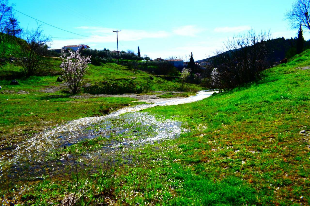 Oasis Of Calmnessε Villa Ardani Bagian luar foto
