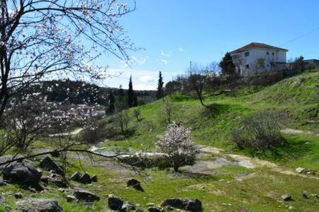 Oasis Of Calmnessε Villa Ardani Bagian luar foto